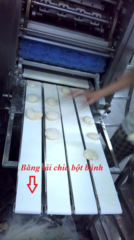 Băng Tải Chia Bột Bánh 4 line