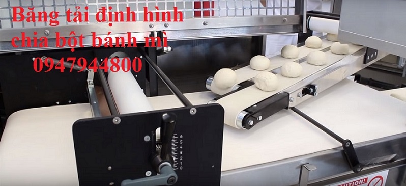 Băng Tải Định Hình Chia Bột